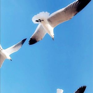 Meet your Posher, Estefania